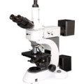 Microscopio Metalúrgico (NMM-800)